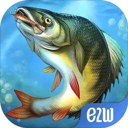 kb体育手机版app